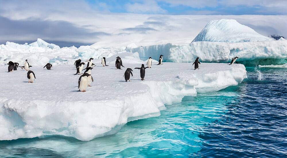 Cruise to Antarctica Cruise to Antarctica