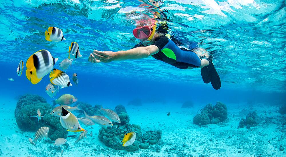 Winter 2021-2022 Cruises - The Caribbean Winter 2021-2022 Cruises - The Caribbean