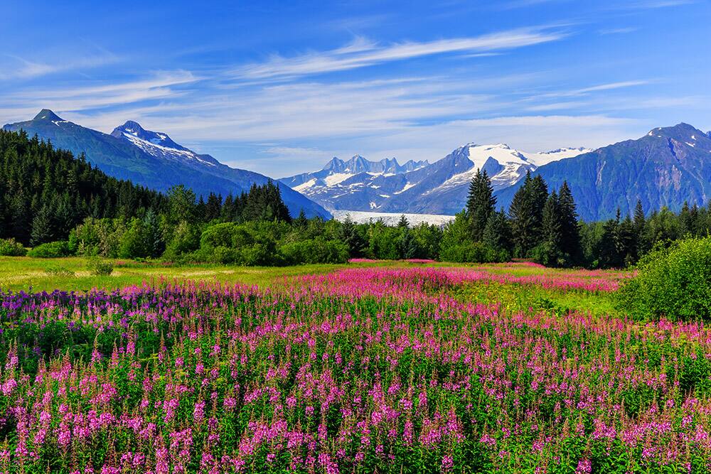 Cruises from Seattle: Juneau, Alaska with Norwegian