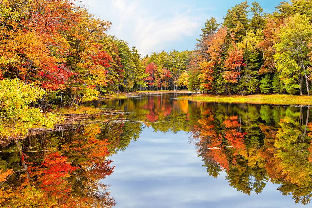 Enjoy the Fall colors
