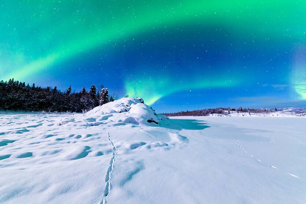Norwegian Alaska Cruises & Cruisetours - See Northern Lights