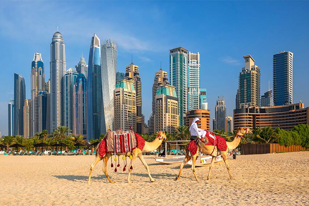 Dubai Cruise - Norwegian