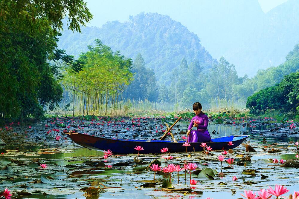 Cruise to Hanoi, Vietnam - Norwegian