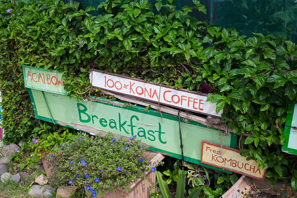 Kona coffee, Oahu, Hawaii