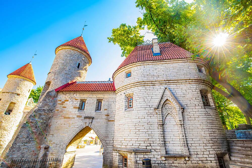 Norwegian Summer Cruises