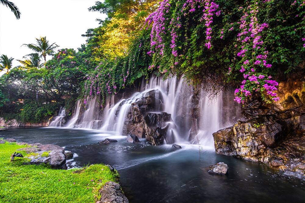 Waterfalls in Hawaii Waterfalls in Hawaii
