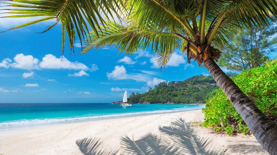 The Caribbean