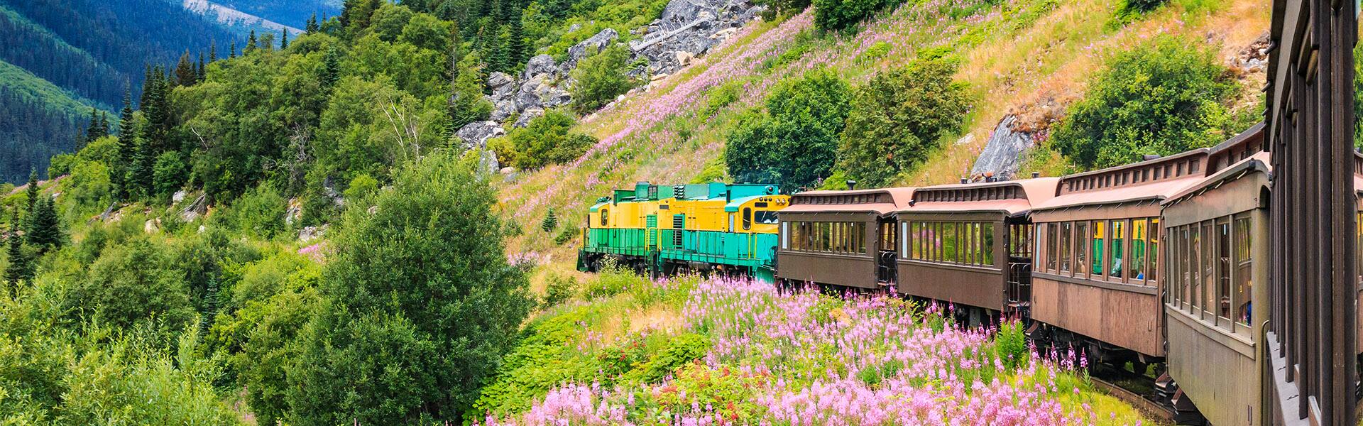 Alaska: Glaciers, Skagway, Juneau & Ketchikan