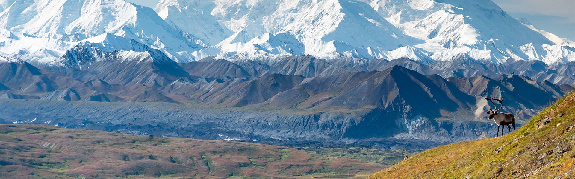 Fairbanks Denali Express - Southbound Cruisetour