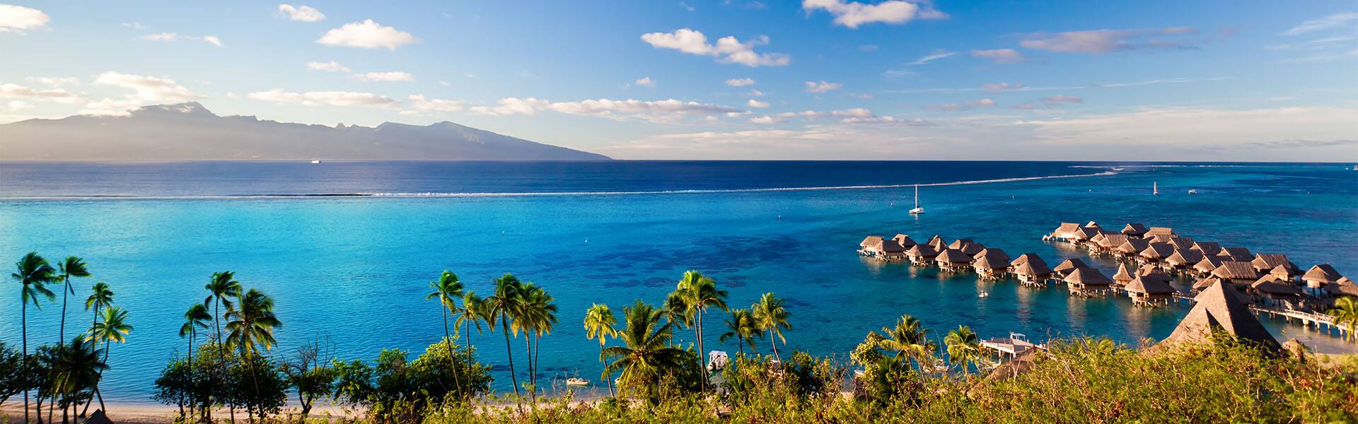 South Pacific: Kauai, Kona & Maui