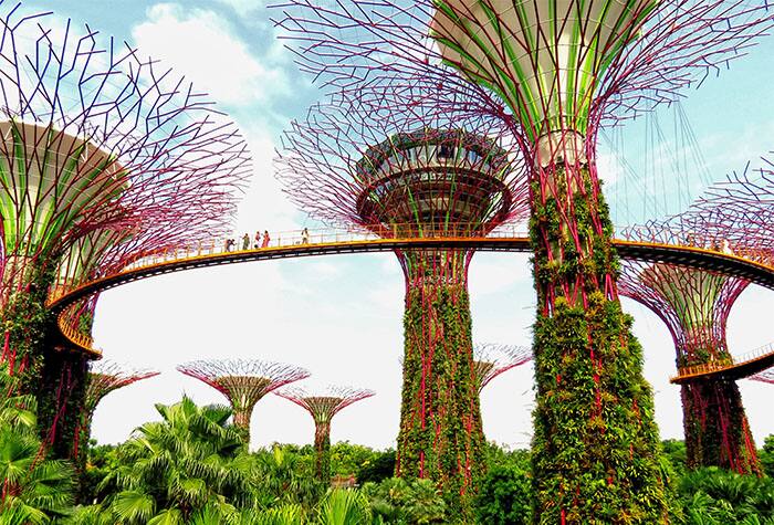Gardens by the Bay