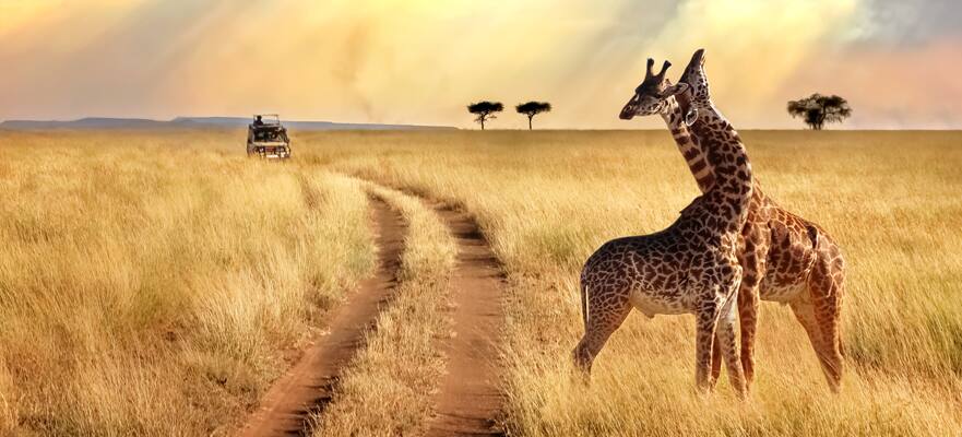 21-Day African Safari and Seychelles