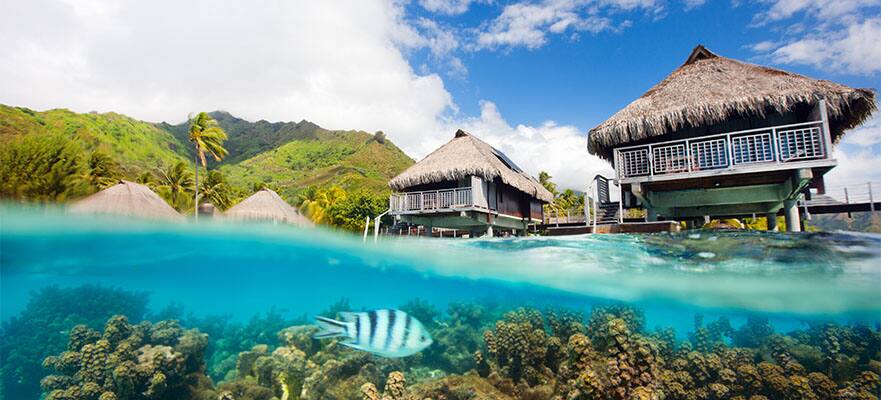 14-Day South Pacific From Honolulu to Papeete: Kauai, Maui & Moorea