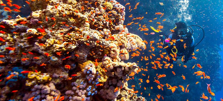 11-Day Panama Canal Round-trip Miami: Mexico, Costa Rica & Belize
