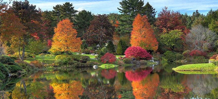 7-Day Bermuda & Maine Round-trip Boston