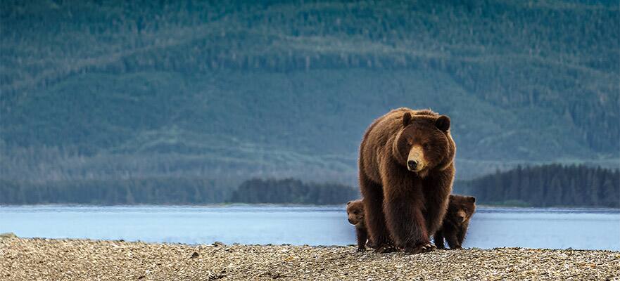 7-Day Alaska From Vancouver to Seward: Hubbard Glacier & Skagway