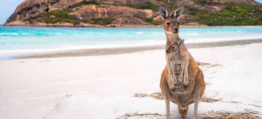15-Day Australia & New Zealand from Sydney to Auckland