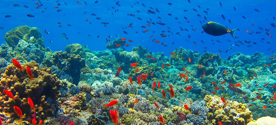 19-Day Mediterranean from Athens to Dubai: Turkey, Egypt, Jordan & Israel