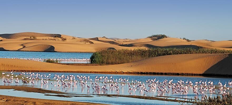 12-Day Round-trip Cape Town: South Africa & Namibia