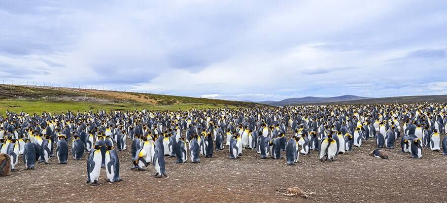 14-Day South America from Buenos Aires to Santiago: Argentina & Chile