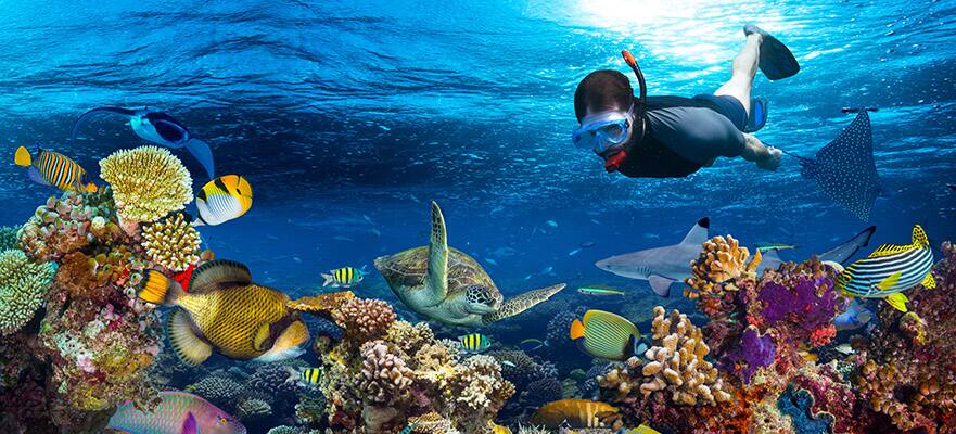 5-Day Bermuda Round-Trip from New York