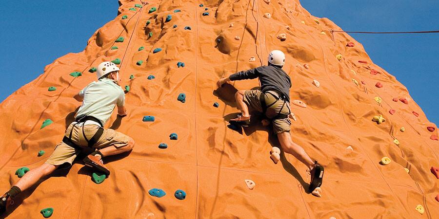 MI.PAGES.Activities.WallClimb