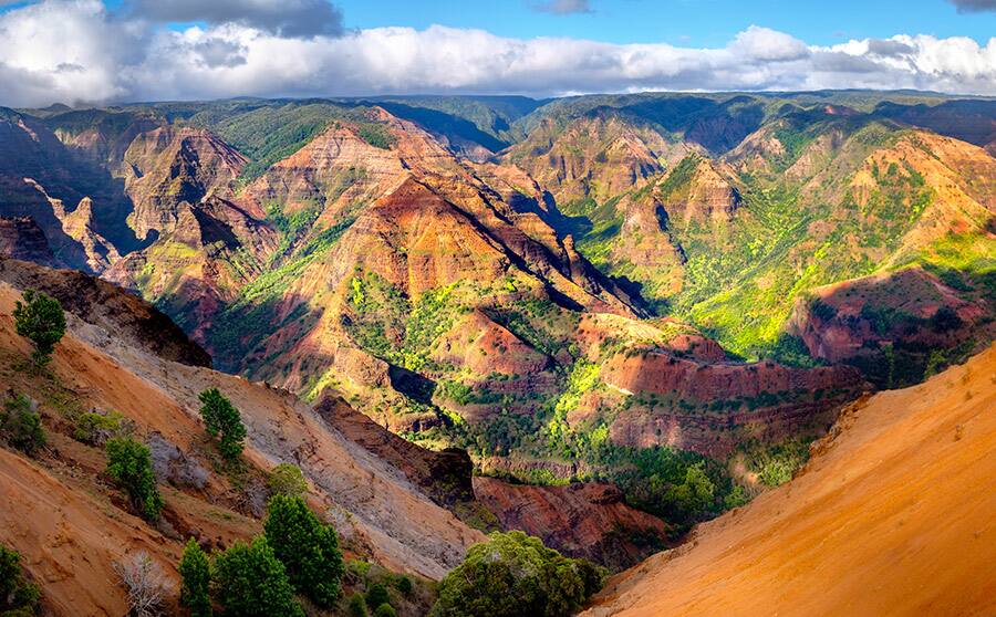 Waimea Canyon