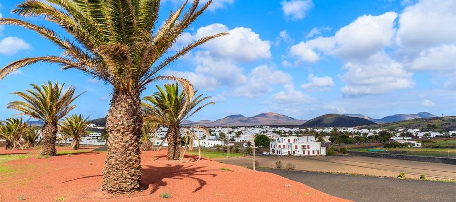 Palm trees in Uga village on your Europe vacation