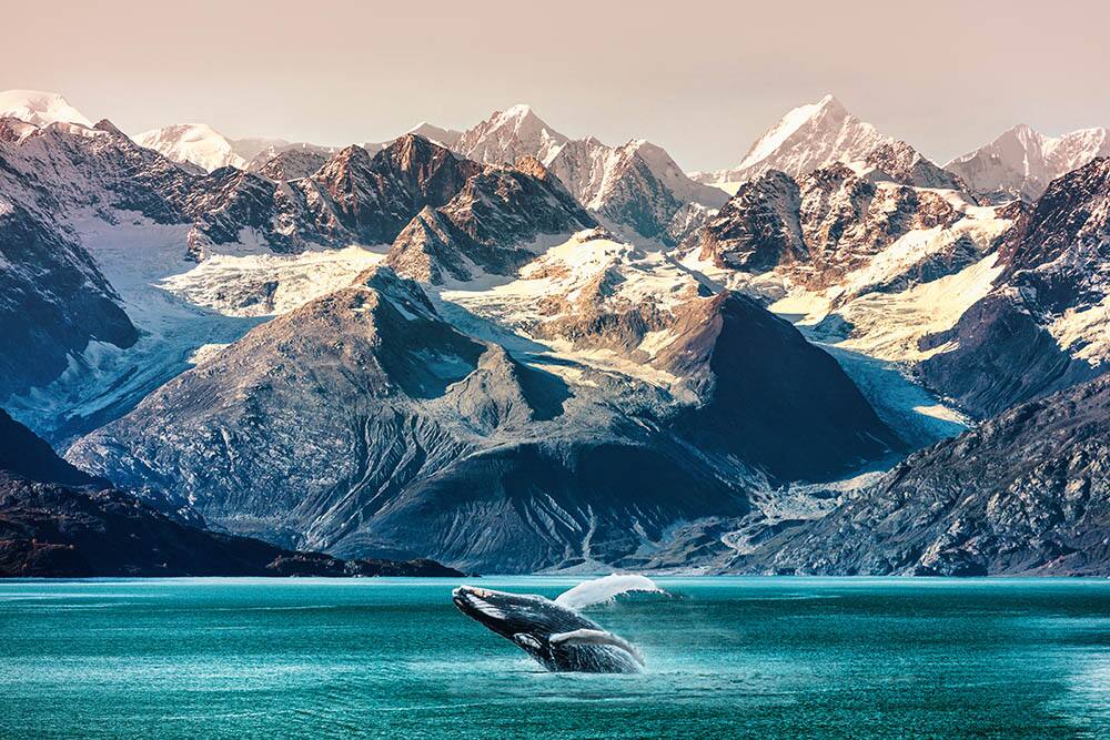 Norwegian Cruise for Seniors