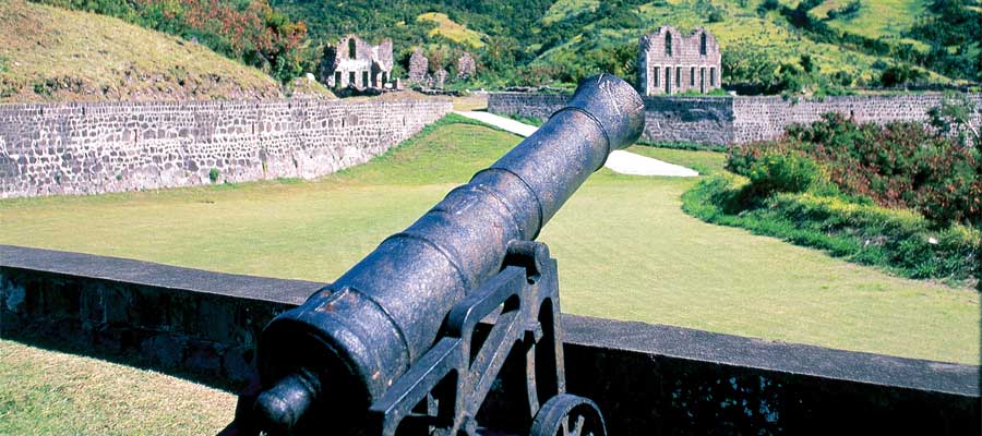 Old canon on your Basseterre cruise