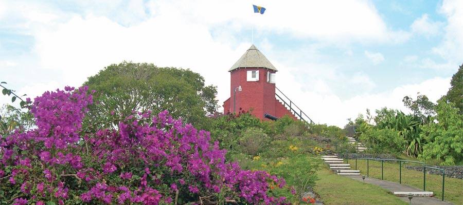Discover scenic island sights on your Bridgetown cruise