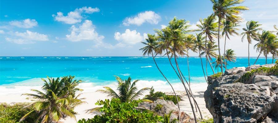 Cruise to Bottom Bay in Bridgetown, Barbados