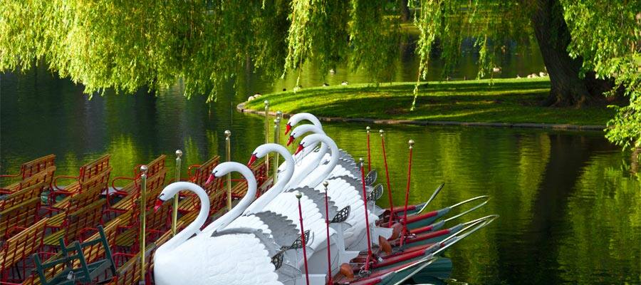 Boston Public Garden on your Boston cruise