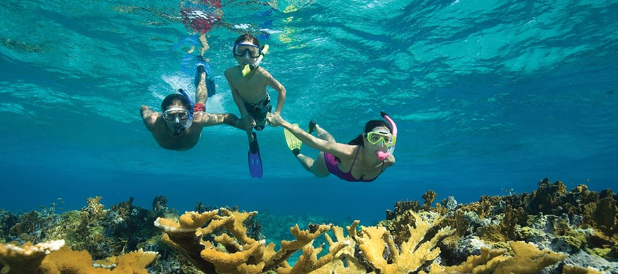 Snorkel on our cruises from Florida