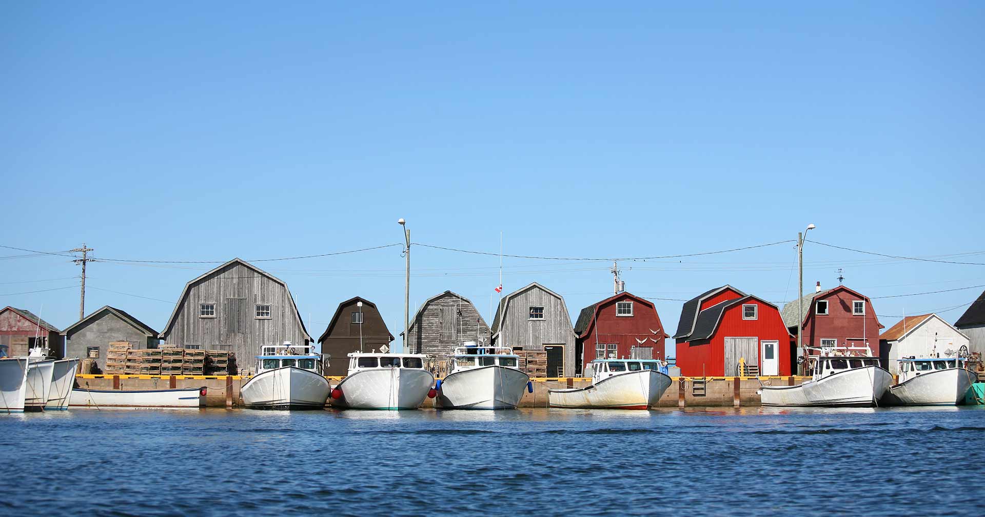 The Island's Finest: Anne, Lobster & Scenic Drive 
