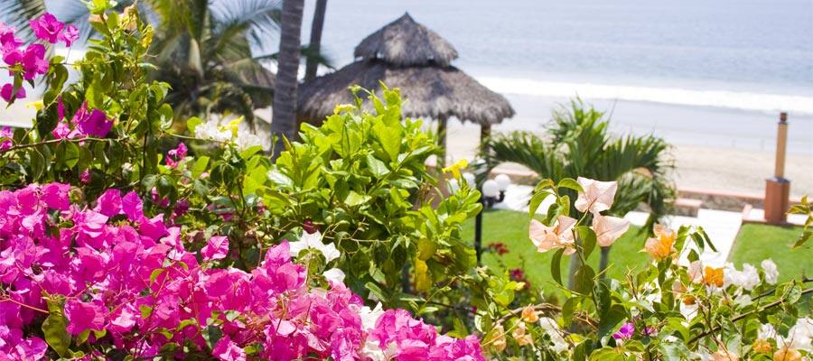 Vibrant flowers on your cruise to the Caribbean