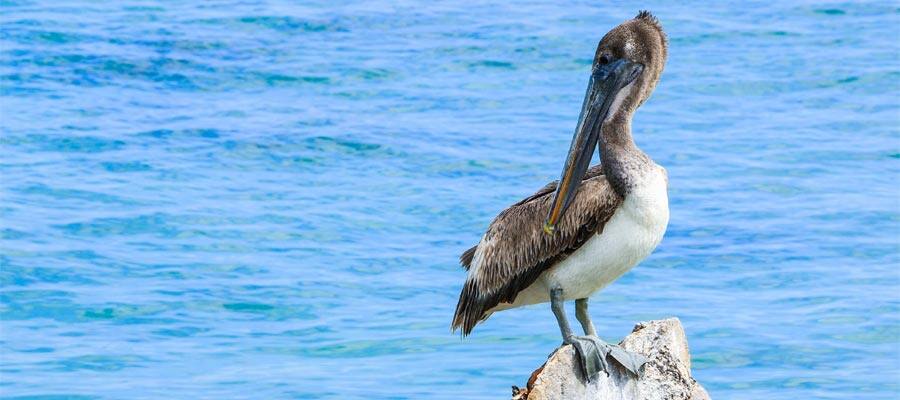 Friendly locals on your cruise from Cozumel