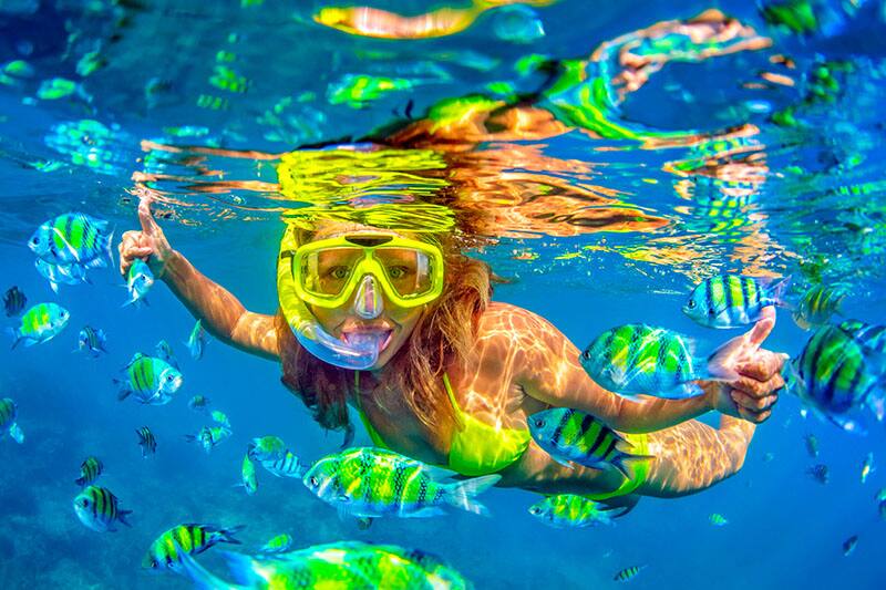 The Best Time to Book a Cruise: Tips & Tricks