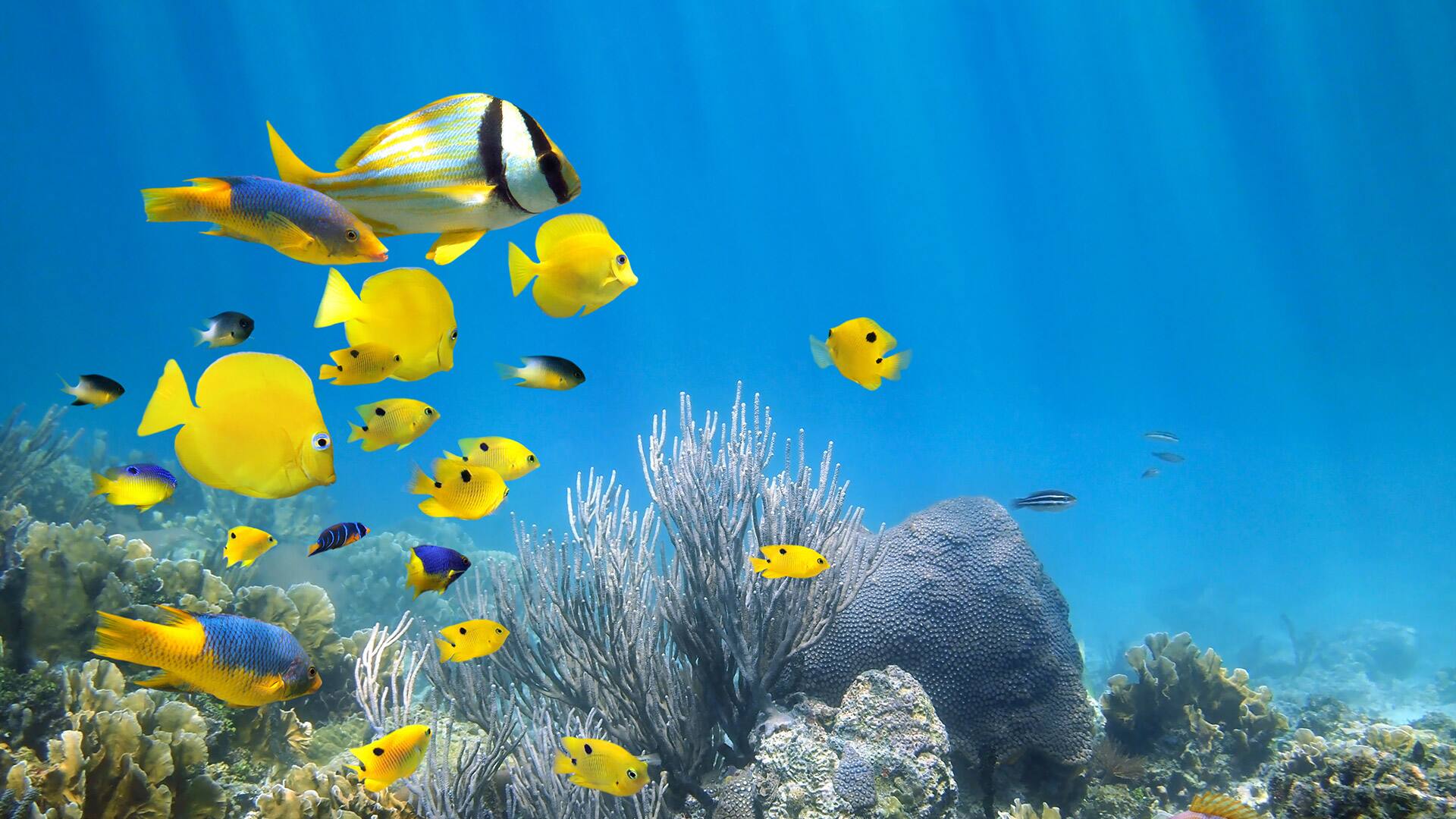Discover Key West