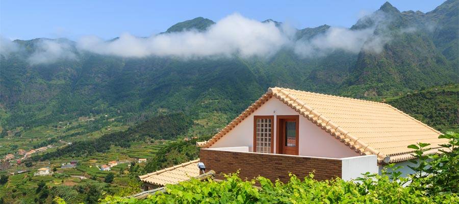 Vineyard in Madeira on your Europe cruise