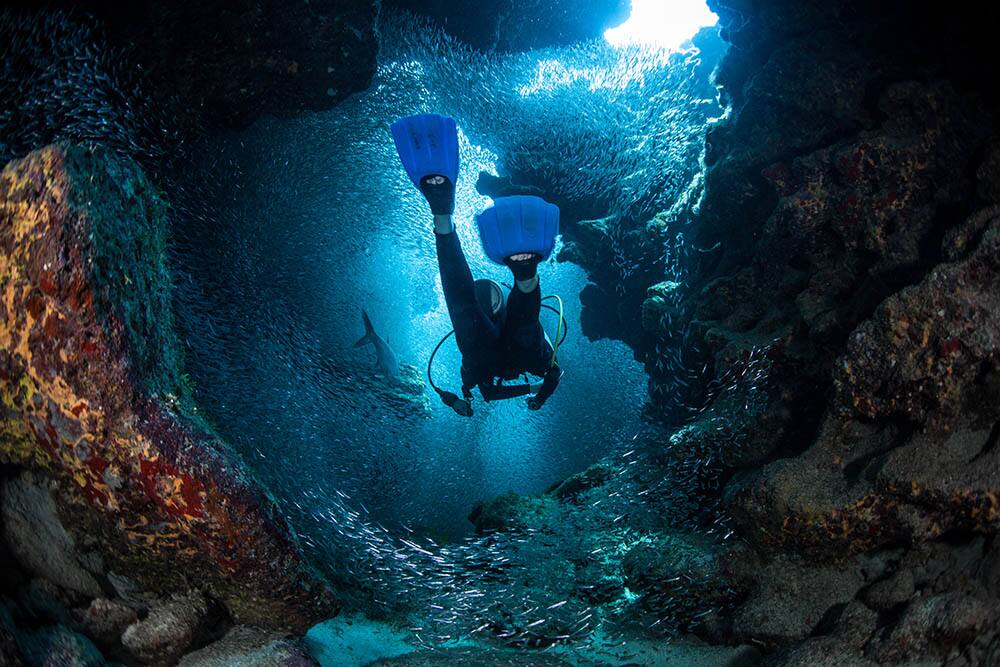 Norwegian Caribbean Cruises