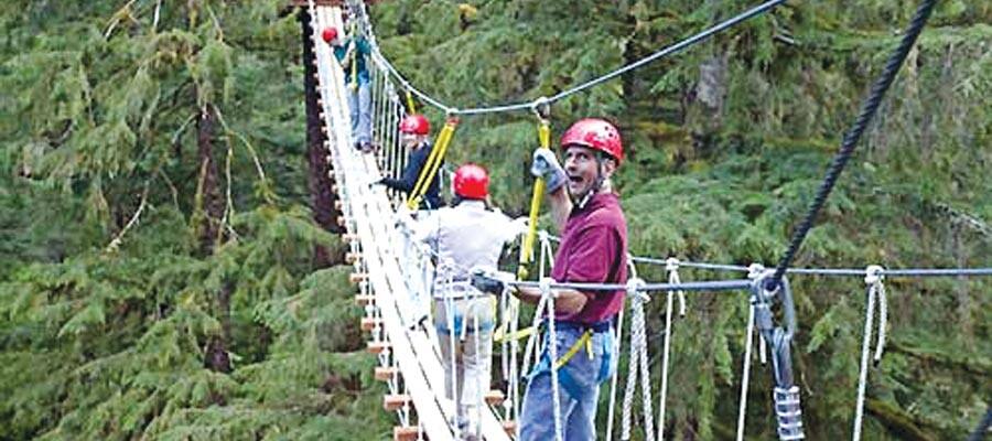 Canopy ziplining on an alaska cruise