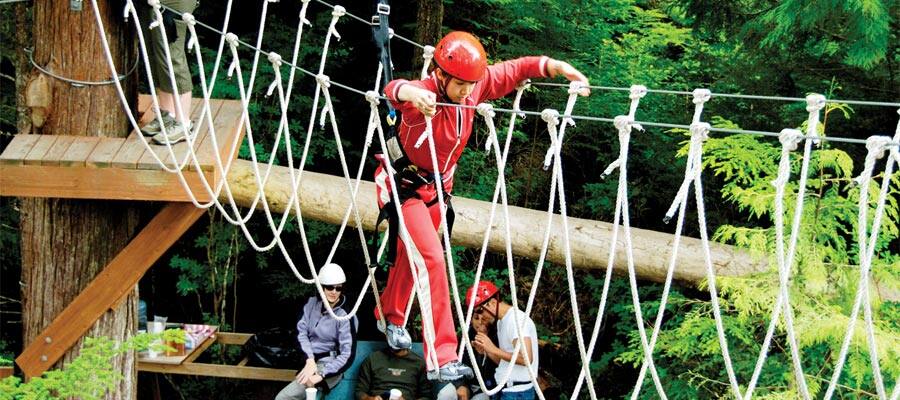 Zip Challenge on your Alaska cruise