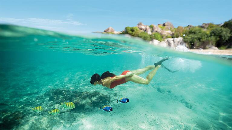 lady diver discovering conch shell