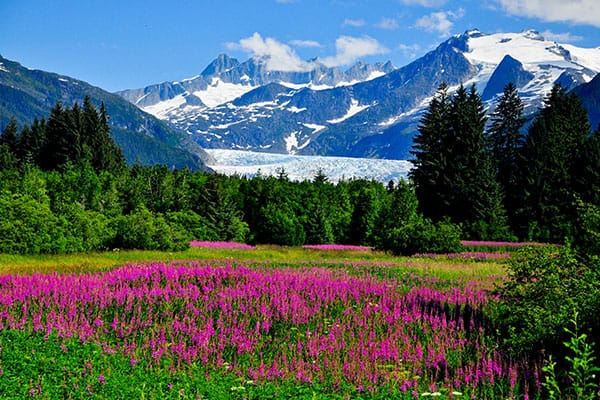 6 Things Not to Miss on Your Next Alaska Cruise Vacation
