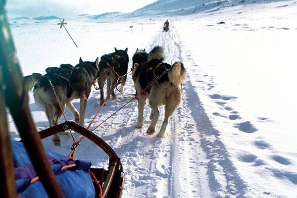 Cruising Alaska: When the Last Frontier Calls