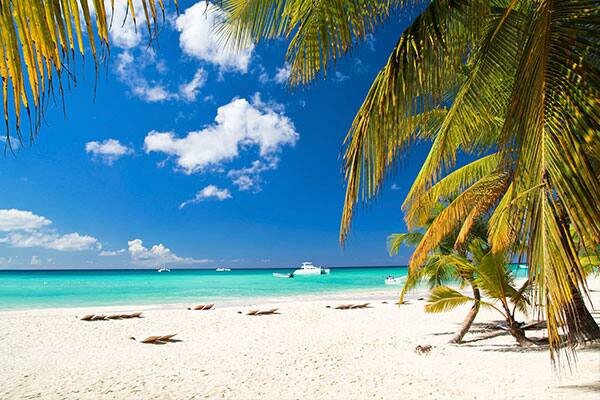 Island Hopping: 6 Things to Do on Grand Bahama Island