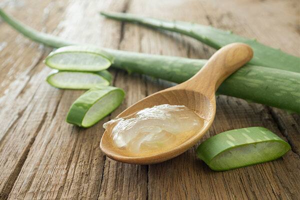 Aloe