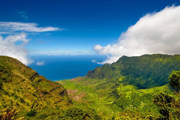 See Hawaii on a Hawaii Cruise