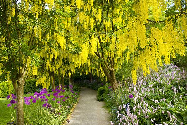 VanDusen Botanical Garden
